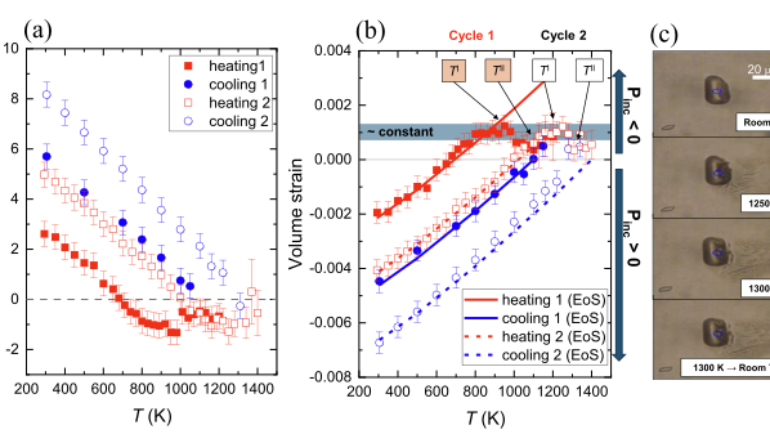 New chapter for host-inclusion systems studies